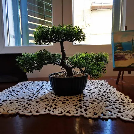 Niko Apartman Sibenik